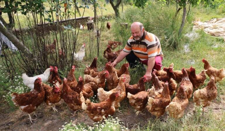 Önce tavukla başladı, sonra kırmızı elmasa yöneldi! Bahçesini ziyarete açtı, şimdi daha çok kazanıyor