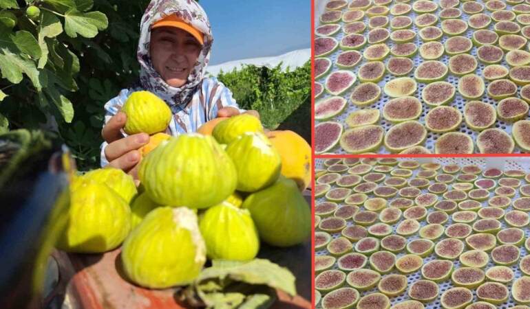 Sarıgöllü kadınların yeni gözdesi: Kışlık hazırlık olarak incir cipsi yapıyorlar