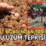 Ziraat Odası’ndan TARİŞ’e kuru üzüm fiyatı tepkisi: “Bu fiyat kabul edilemez”