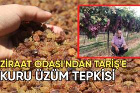 Ziraat Odası’ndan TARİŞ’e kuru üzüm fiyatı tepkisi: “Bu fiyat kabul edilemez”