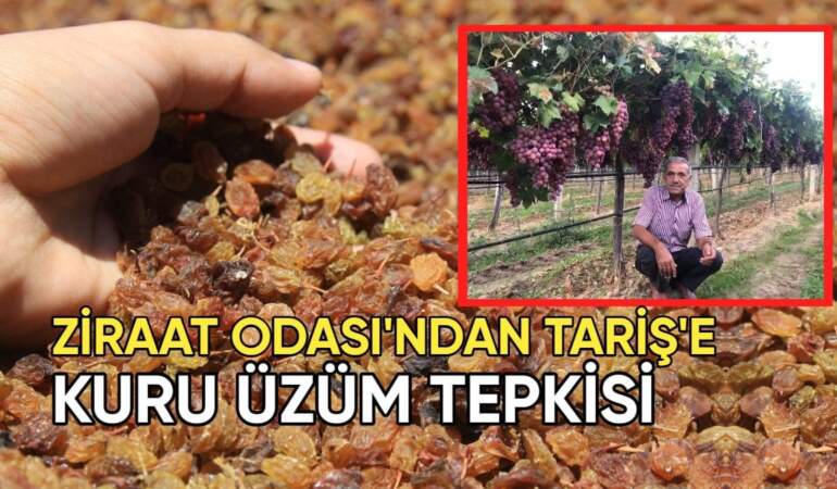 Ziraat Odası’ndan TARİŞ’e kuru üzüm fiyatı tepkisi: “Bu fiyat kabul edilemez”