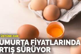 Zam üstüne zam: Yumurta fiyatlarında artış sürüyor