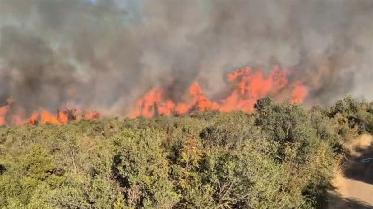 Balıkesir Susurluk’ta orman yangını! Müdahale sürüyor