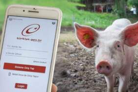 Domuz eti içeren ürünler e-Devlet’te! Etiketlere aldanmayın, gerçek içerik bu sitede