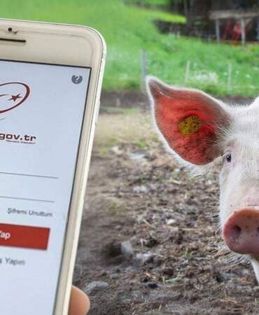 Domuz eti içeren ürünler e-Devlet’te! Etiketlere aldanmayın, gerçek içerik bu sitede