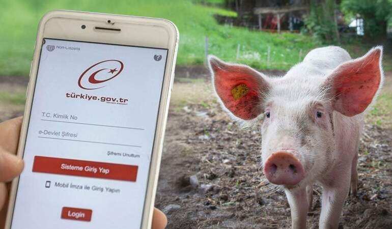 Domuz eti içeren ürünler e-Devlet’te! Etiketlere aldanmayın, gerçek içerik bu sitede