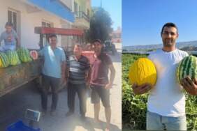 Tarlada kalmasın diye çözümü buldular: Baba-oğul ürünlerini traktörle satıyor!