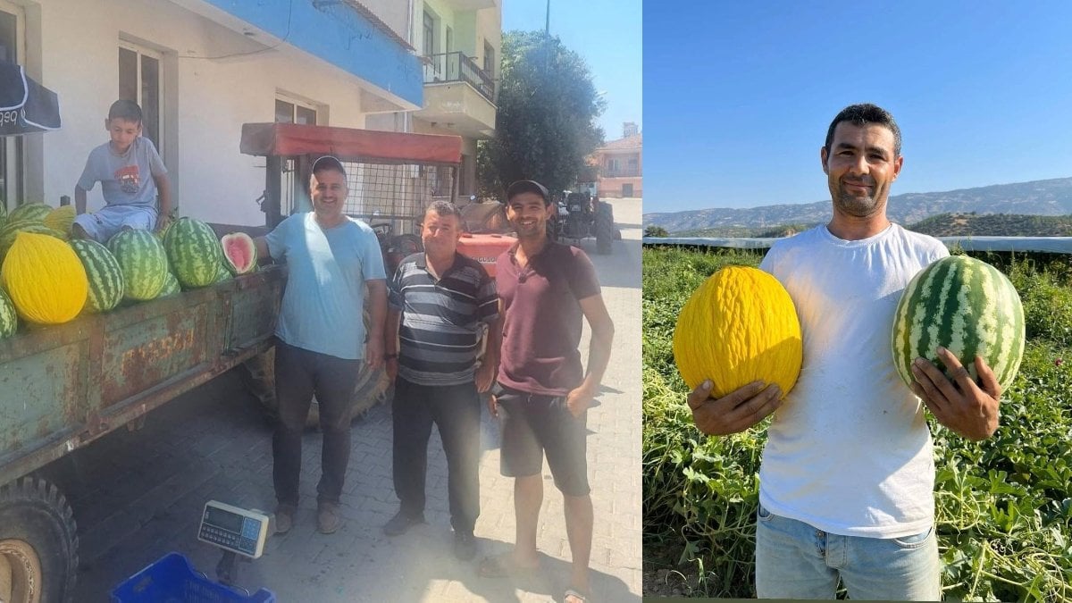 Tarlada kalmasın diye çözümü buldular: Baba-oğul ürünlerini traktörle satıyor!