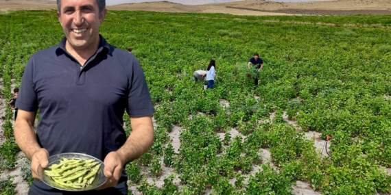 “Yetişmez” denilen yerde yetişti, beklentinin üzerinde verim sağladı! Tarım ve Orman Bakanlığı’nın hibesiyle hasat başladı