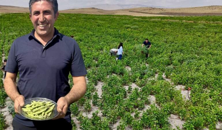 “Yetişmez” denilen yerde yetişti, beklentinin üzerinde verim sağladı! Tarım ve Orman Bakanlığı’nın hibesiyle hasat başladı