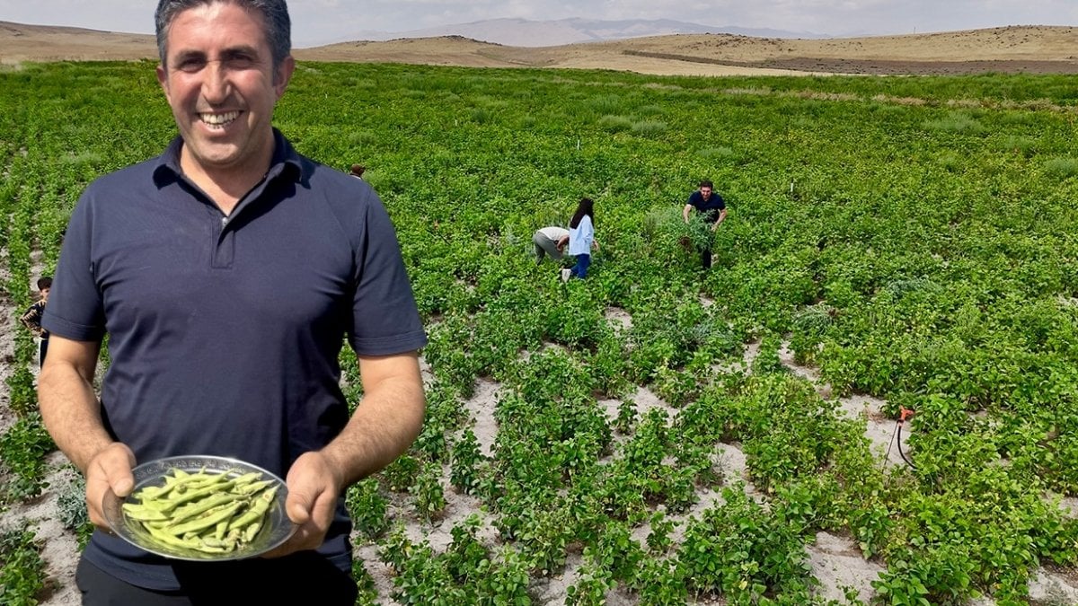 “Yetişmez” denilen yerde yetişti, beklentinin üzerinde verim sağladı! Tarım ve Orman Bakanlığı’nın hibesiyle hasat başladı