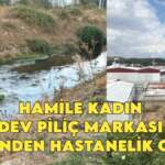 Piliç devi hamile kadını hastanelik etti! ‘Dereden zehir akıyor’ diyen köylüler, kadının hastanelik olmasıyla çileden çıktı