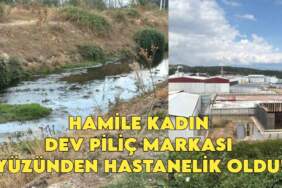 Piliç devi hamile kadını hastanelik etti! ‘Dereden zehir akıyor’ diyen köylüler, kadının hastanelik olmasıyla çileden çıktı