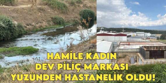 Piliç devi hamile kadını hastanelik etti! ‘Dereden zehir akıyor’ diyen köylüler, kadının hastanelik olmasıyla çileden çıktı