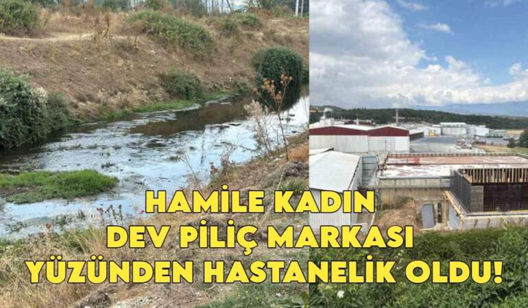 Piliç devi hamile kadını hastanelik etti! ‘Dereden zehir akıyor’ diyen köylüler, kadının hastanelik olmasıyla çileden çıktı