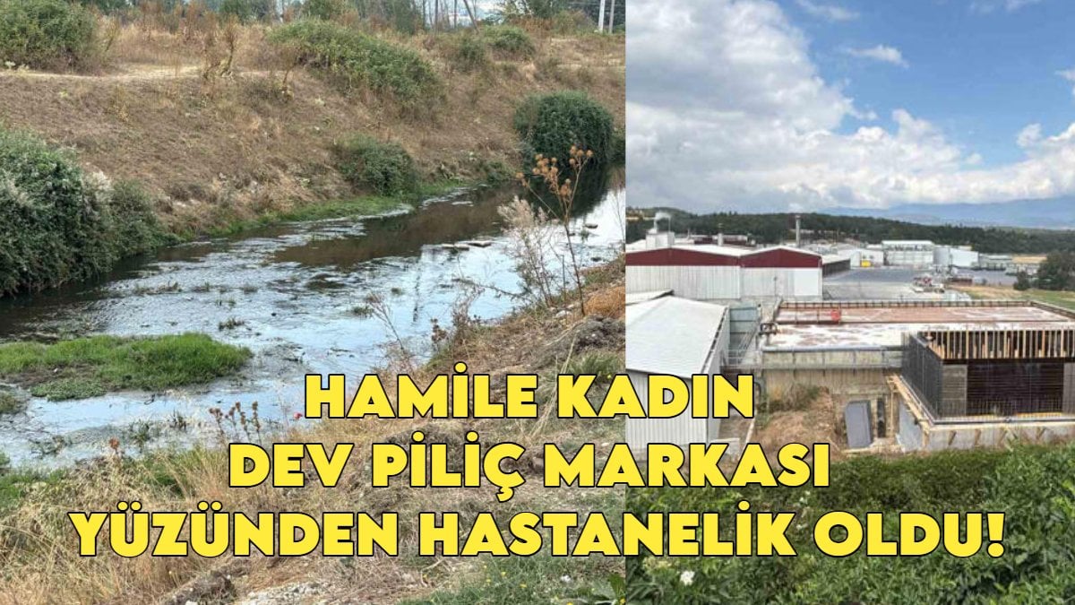 Piliç devi hamile kadını hastanelik etti! ‘Dereden zehir akıyor’ diyen köylüler, kadının hastanelik olmasıyla çileden çıktı