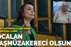 Tülay Hatimoğulları’ndan komisyona çağrı: ‘Öcalan başmüzakereci olsun’