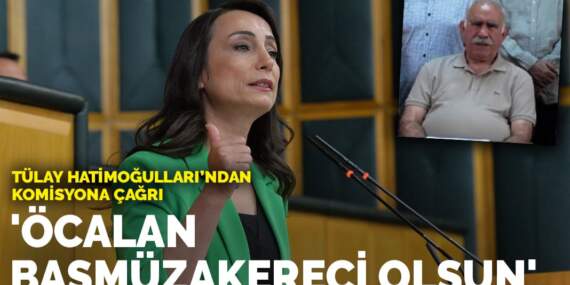 Tülay Hatimoğulları’ndan komisyona çağrı: ‘Öcalan başmüzakereci olsun’