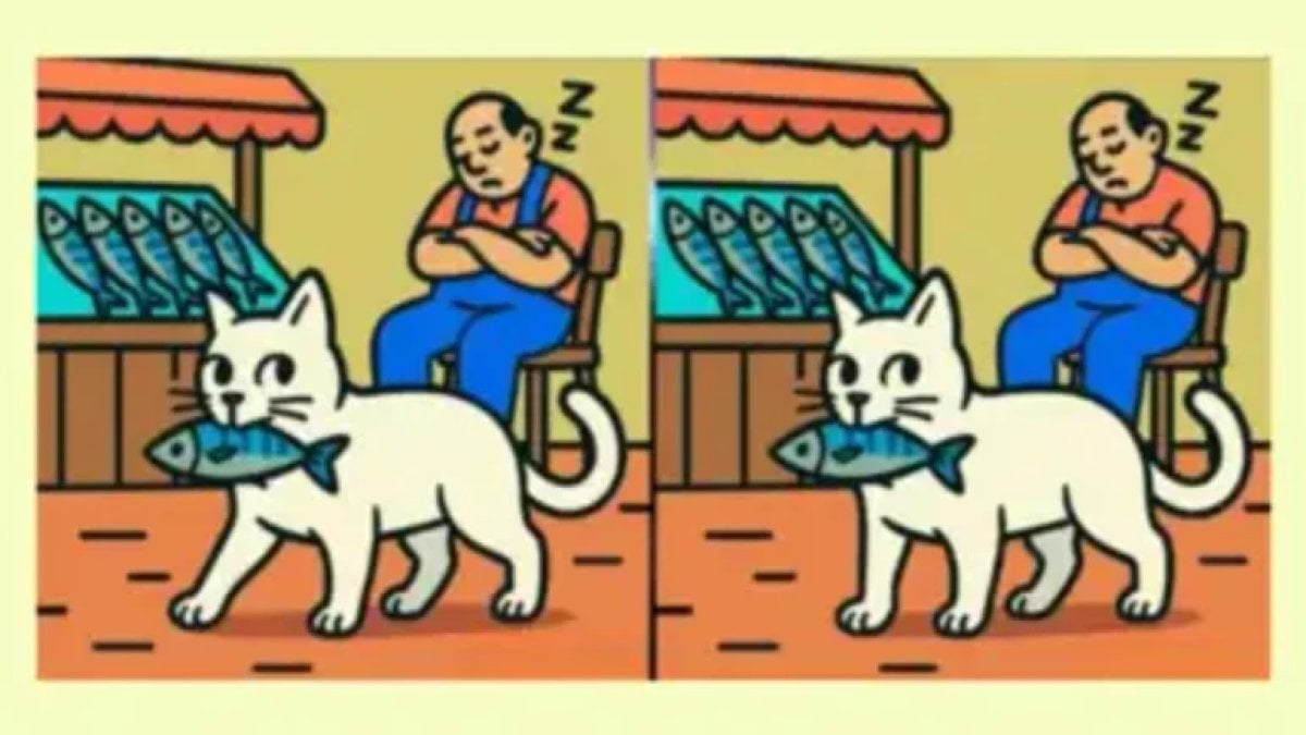 Sadece keskin gözlüler 14 saniyede bulabiliyor: Bu iki resim arasındaki 3 farkı görebildiniz mi?