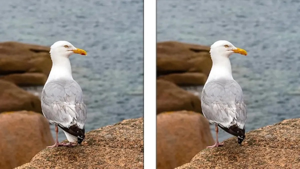 İki resim arasındaki farklar aklınızı başınızdan alacak! 7 saniyede 3 farklı bul, keskin gözlerini kanıtla