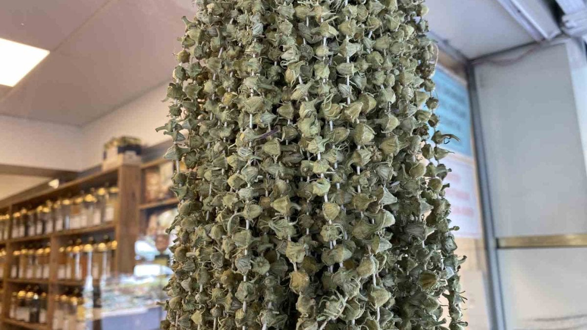 Kilosu altınla yarışıyordu, şimdi 2 Bin 900 TL’ye düştü!