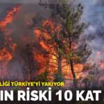İklim değişikliği Türkiye’yi yakıyor: Yangın riski 10 kat arttı