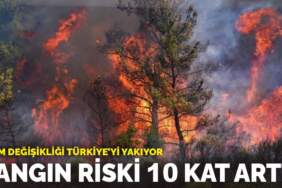 İklim değişikliği Türkiye’yi yakıyor: Yangın riski 10 kat arttı