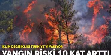 İklim değişikliği Türkiye’yi yakıyor: Yangın riski 10 kat arttı