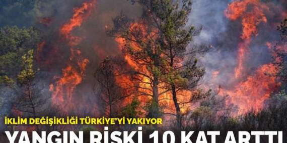 İklim değişikliği Türkiye’yi yakıyor: Yangın riski 10 kat arttı