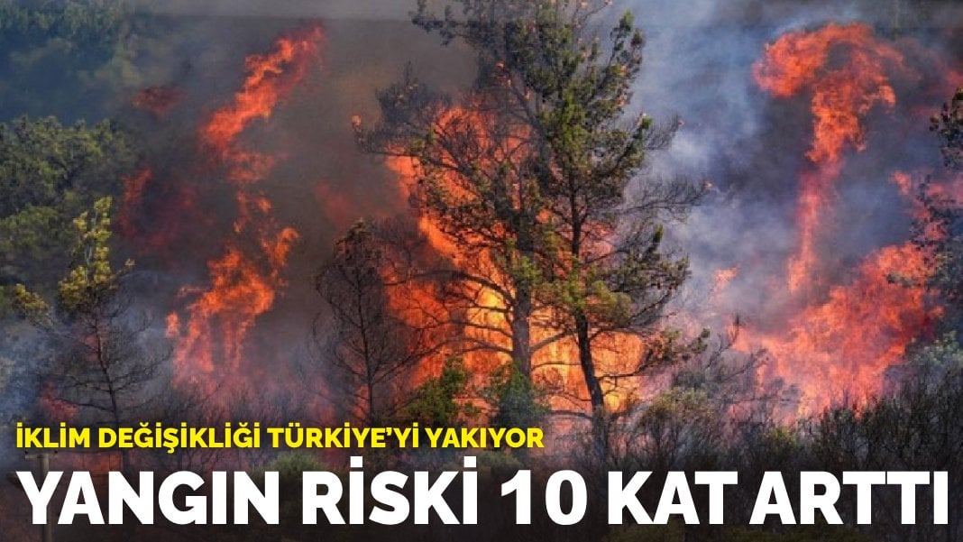 İklim değişikliği Türkiye’yi yakıyor: Yangın riski 10 kat arttı