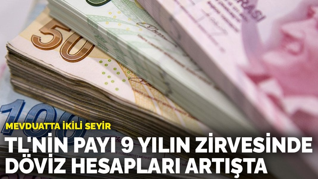 Mevduatta ikili seyir: TL’nin payı 9 yılın zirvesinde, döviz hesapları artışta