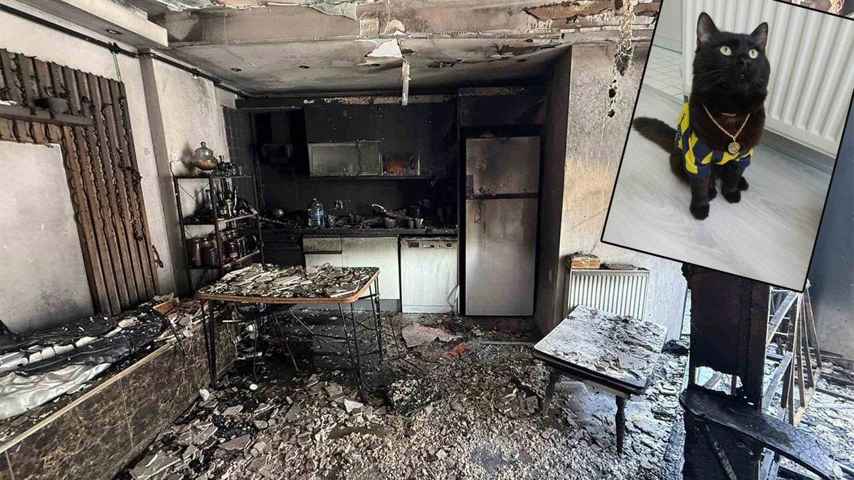 Avcılar’da yangın paniği: Sevimli kedi sahibini yanmaktan kurtardı