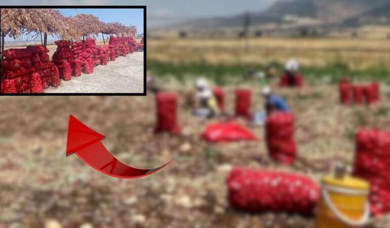 Tarlada 3 liraya satılan ürün markette 15 lira! Fiyatı duyan tarlaya koştu, memnun olmayan yol kenarında sattı