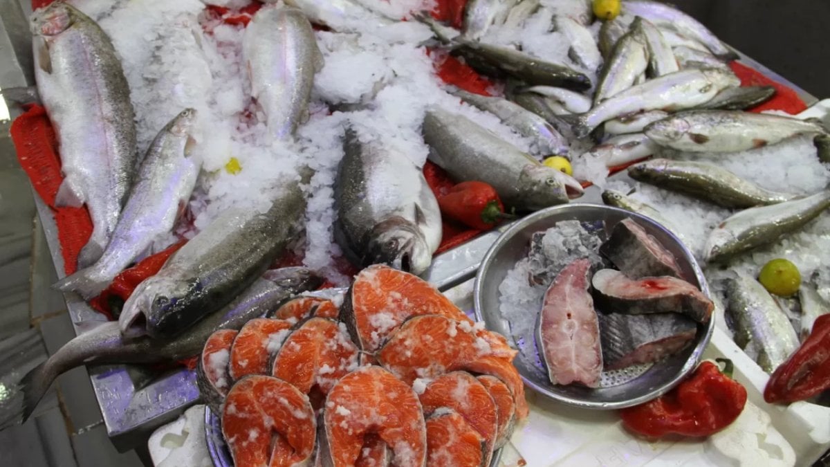 Tezgahlarda palamut az, hamsi bol olacak: Balıkçılar ‘Vira Bismillah’ demeye hazırlanıyor