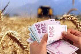 Çiftçilere müjde: 772 milyon liralık destek ödemesi hesaplara yatıyor
