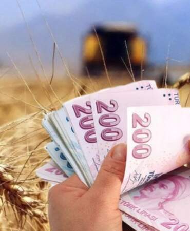 Çiftçilere müjde: 772 milyon liralık destek ödemesi hesaplara yatıyor