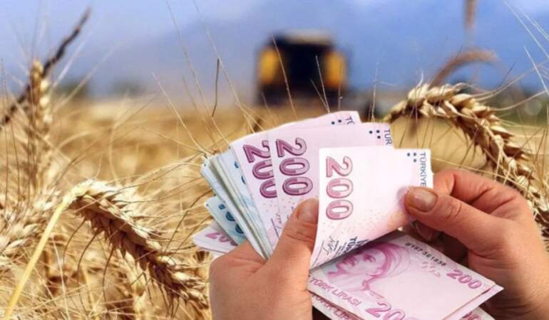 Çiftçilere müjde: 772 milyon liralık destek ödemesi hesaplara yatıyor