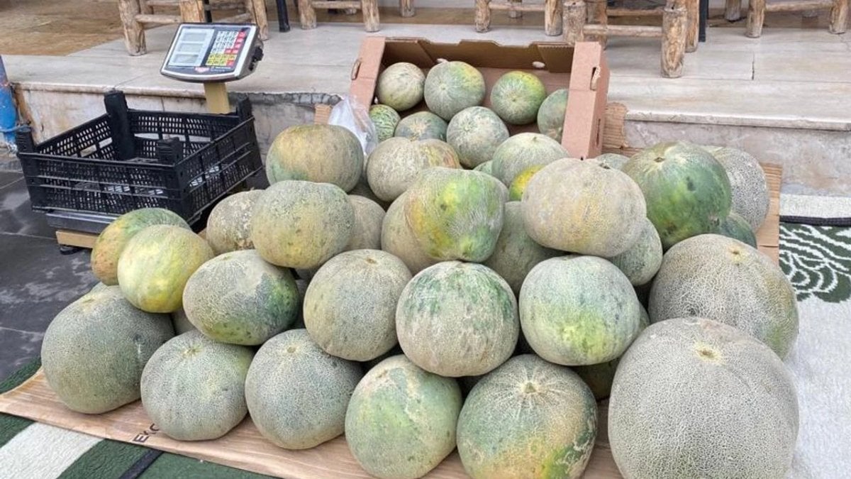 Hasat başladı, esnaf sıraya girdi! Kilosu 20 liradan satılıyor: Kendine hasa aroması ve ekşi tadıyla dikkat çekiyor