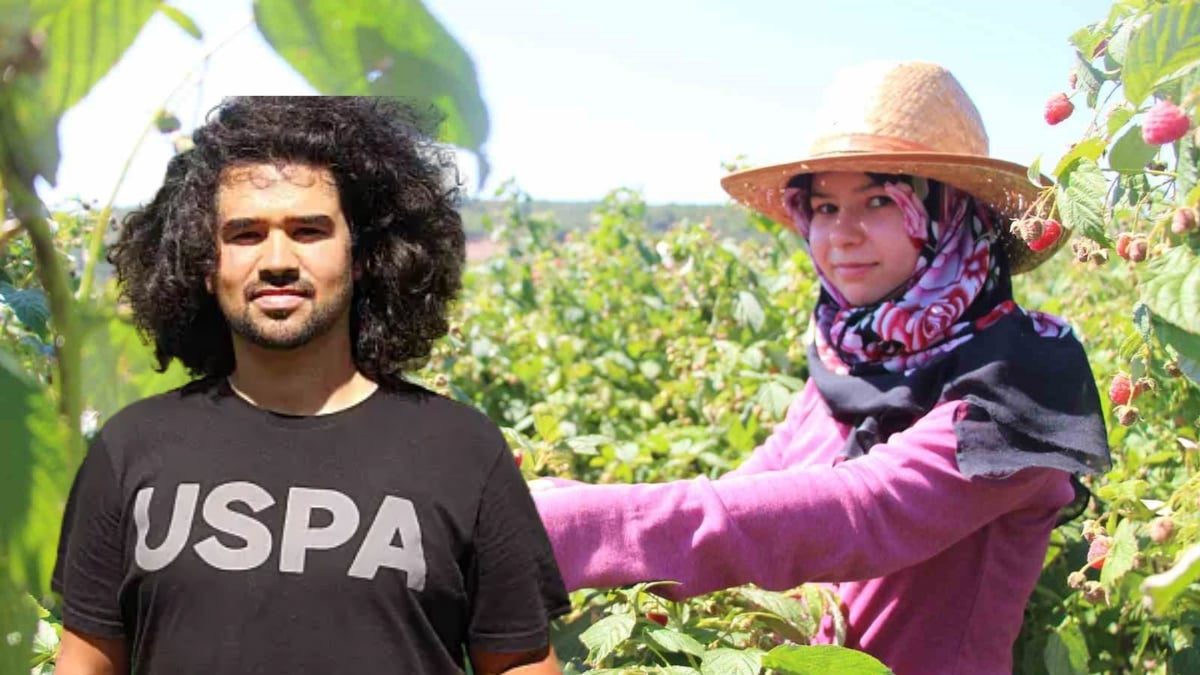 Siyaset okudu, kendi işini kurdu! 3 sene önce attığı adımla üretime başladı: Gençlere tarım girişimciliğini önerdi