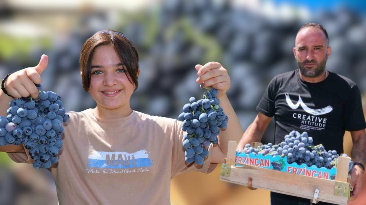 En büyük hasat Erzincan’da yapılıyor, bu yıl yüzleri güldürüyor! Hem cepleri dolduruyor hem şifa saçıyor: Kilosu 200 lira