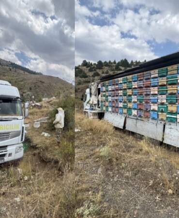 ‘Çiçek neredeyse biz oradayız’ diyerek yola çıktı! Gezici tır İle yayla yayla dolaşıp organik bal üretiyorlar