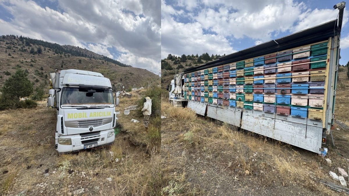 ‘Çiçek neredeyse biz oradayız’ diyerek yola çıktı! Gezici tır İle yayla yayla dolaşıp organik bal üretiyorlar