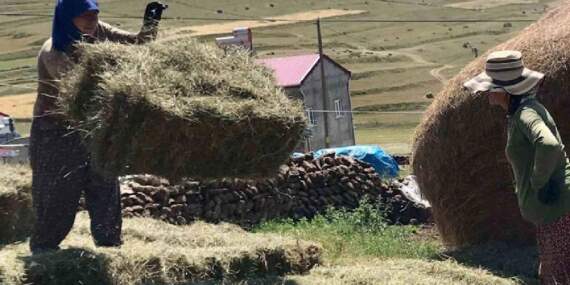 Teknolojinin giremediği bölgede atadan kalma uygulama! Herkes bilek gücünü kullanıyor, kış hazırlığı hız kesmeden sürüyor