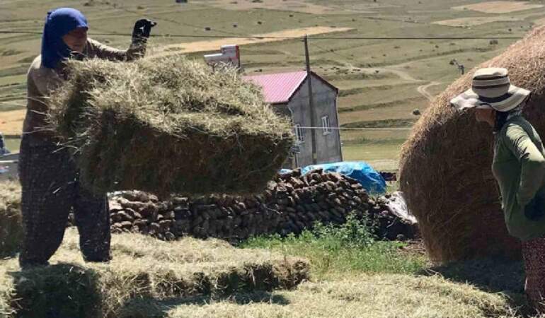Teknolojinin giremediği bölgede atadan kalma uygulama! Herkes bilek gücünü kullanıyor, kış hazırlığı hız kesmeden sürüyor