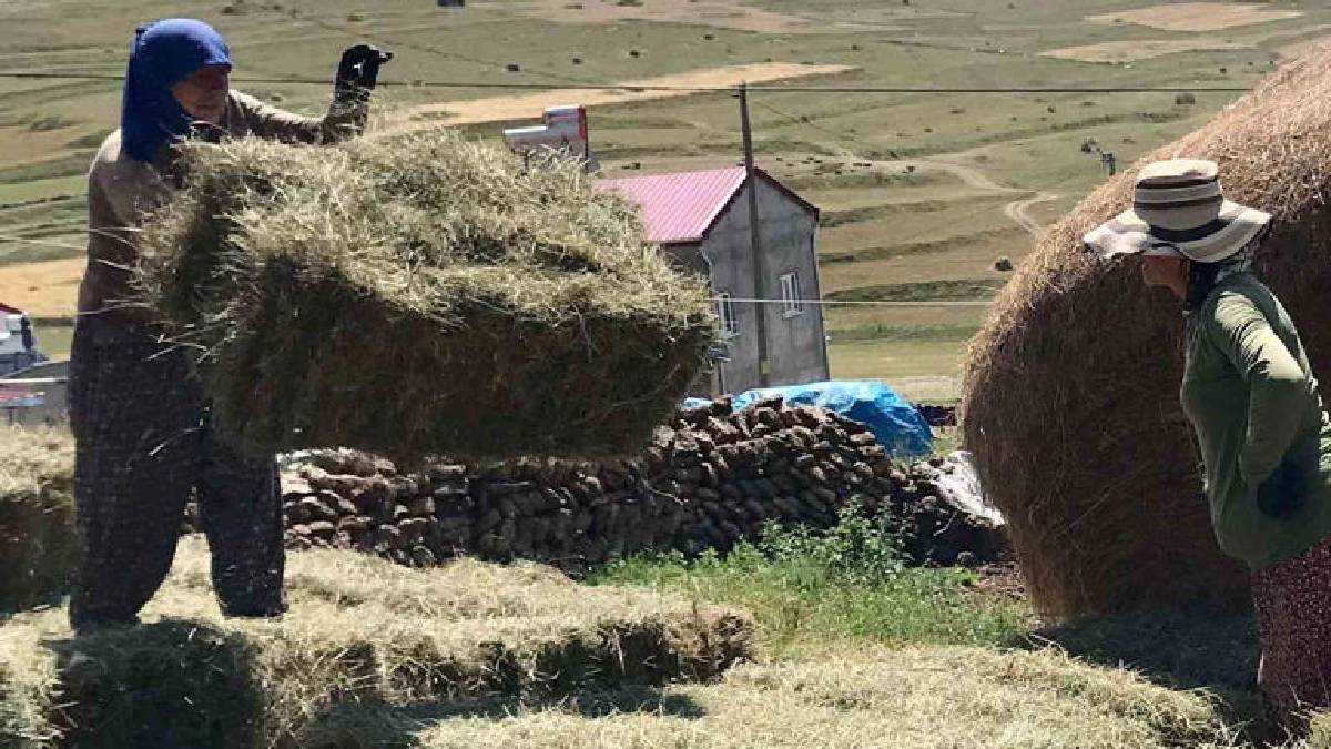Teknolojinin giremediği bölgede atadan kalma uygulama! Herkes bilek gücünü kullanıyor, kış hazırlığı hız kesmeden sürüyor