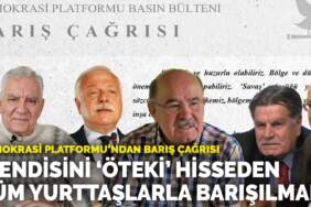 Demokrasi Platformu’dan barış çağrısı: Kendisini ‘öteki’ hisseden tüm yurttaşlarla barışılmalı