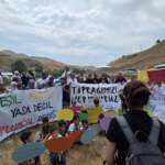 Zilan Vadisi’nde HES projesi tepki çekiyor: Ekolojik tahribat, hayvan ölümleri ve hukuki mücadele