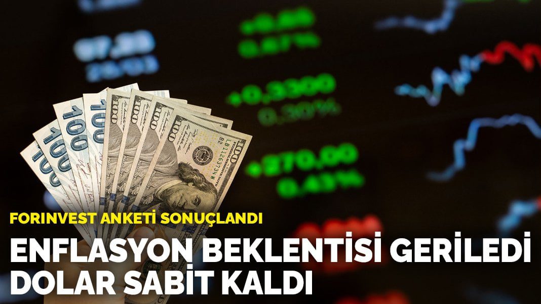 ForInvest anketi sonuçlandı: Enflasyon beklentisi geriledi, dolar sabit kaldı