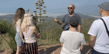 30 Yıl Boyunca Kaktüs Sandı, Gerçek Ortaya Çıkınca Şoke Oldu: Bahçesi Turist Akınına Uğruyor