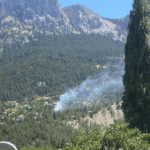 Adana’daki Orman Yangını Kontrol Altında